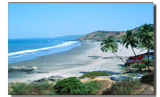 South India Tours